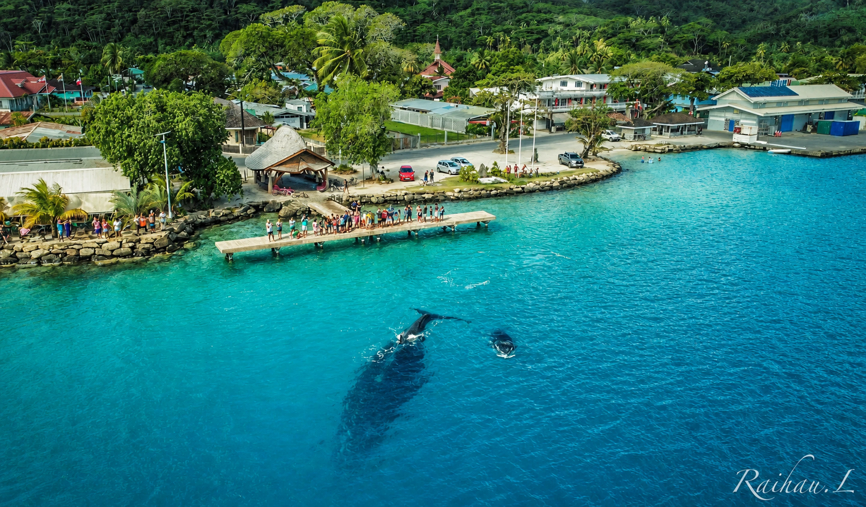 Vue aérienne du lagon et des baleines à Fare